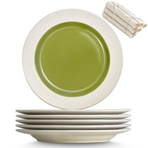 Ceramic Dinner Plates Set of 6